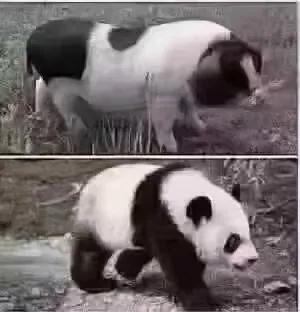 工作经验分享及感想感悟,个人工作经验分享及感悟