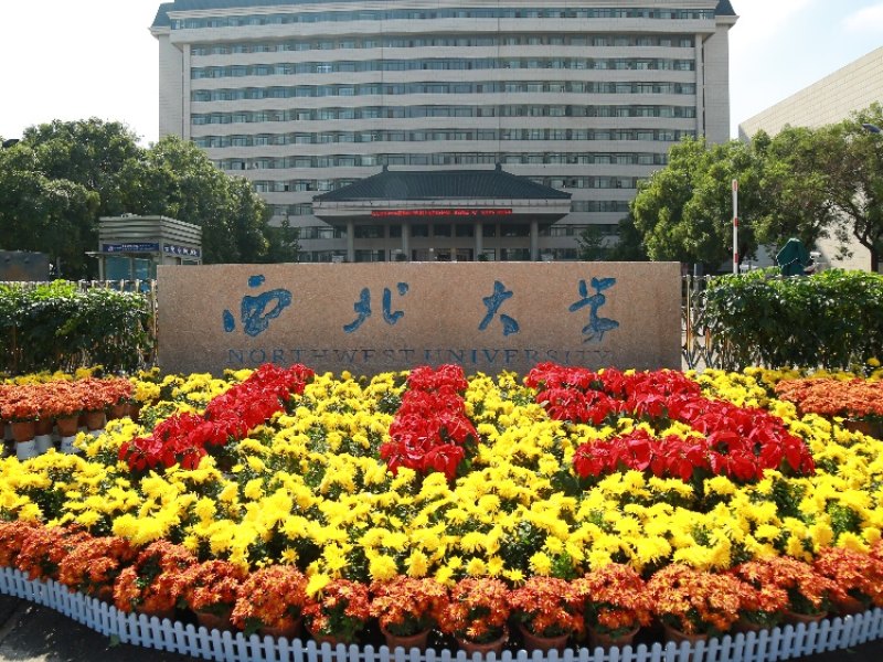 聊聊西藏高校的层次,陕西高校详细解读