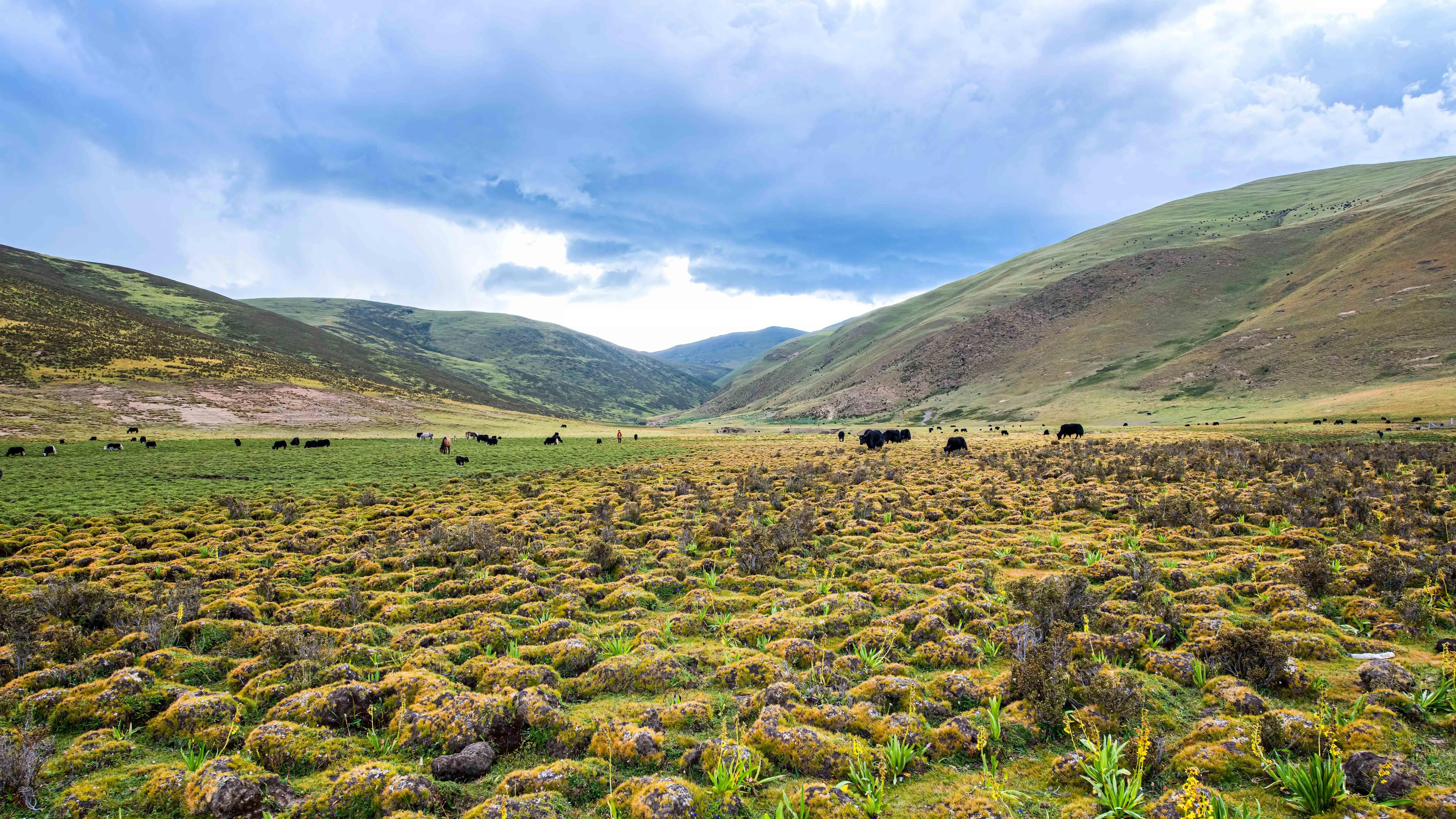 甘孜州最美风景在路上,金秋的甘孜州