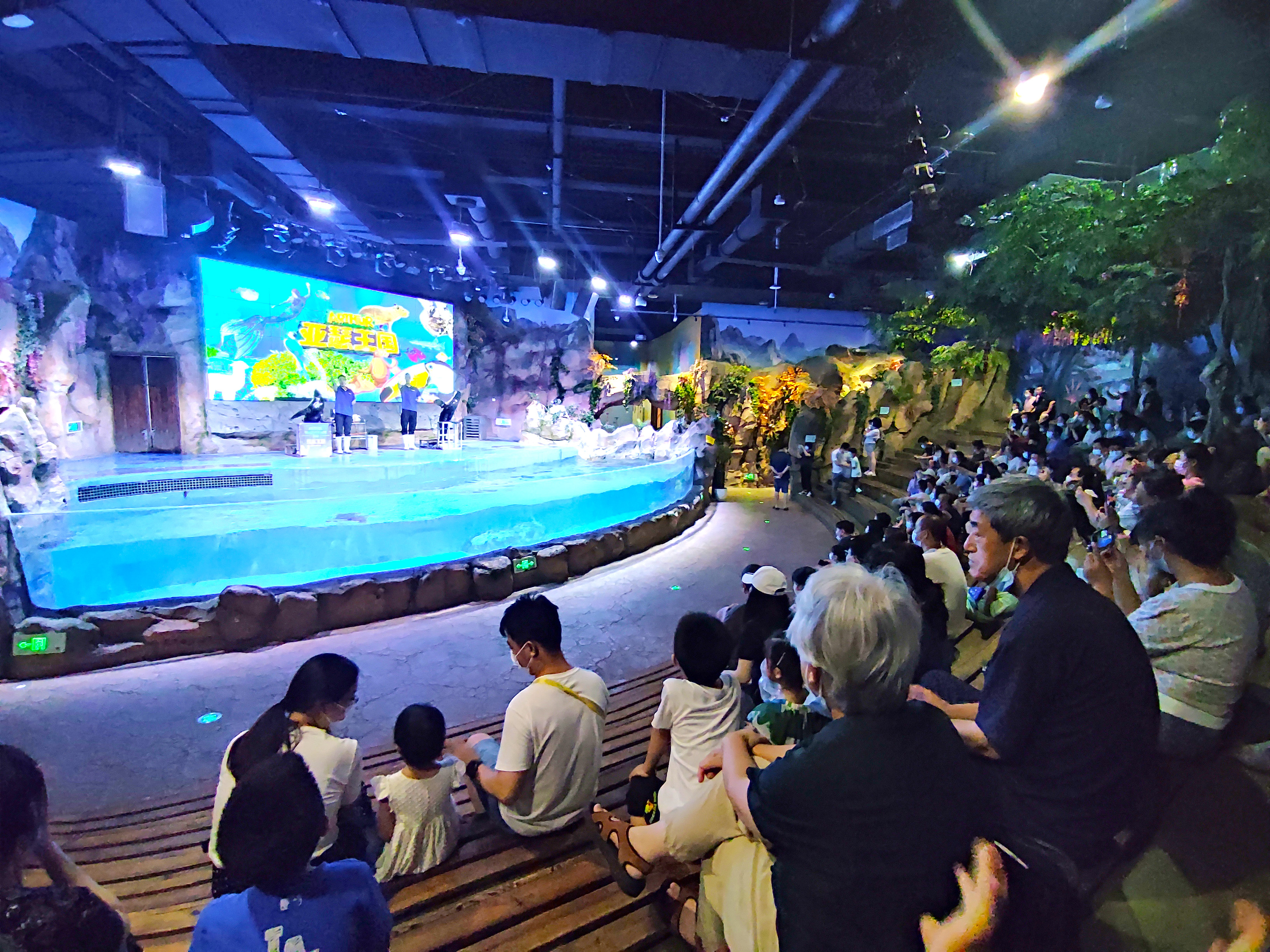 北京海底世界旅游区,北京海底世界游玩攻略