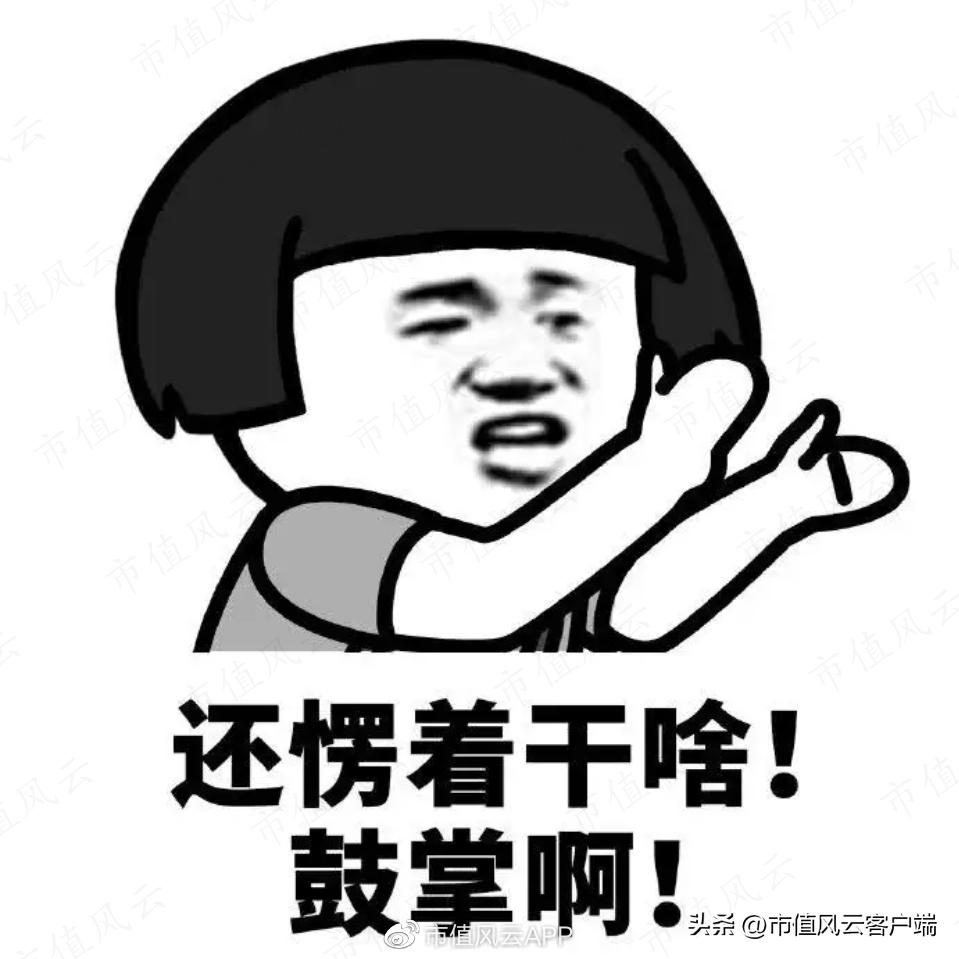 江西九岭锂业上市进度,九岭锂业ipo为何终止