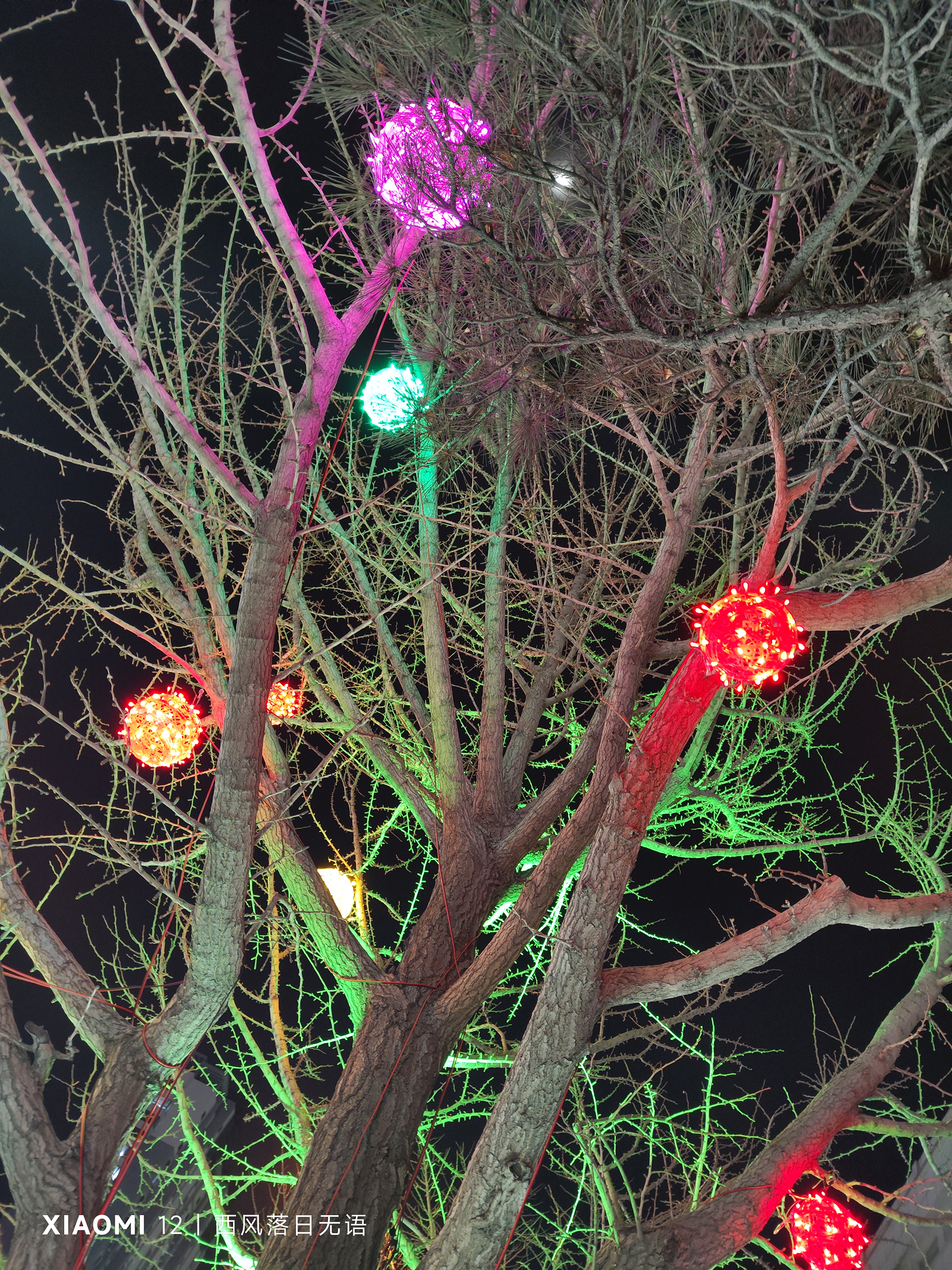 小米12哪个系列值得上手,小米12哪一款更值得入手