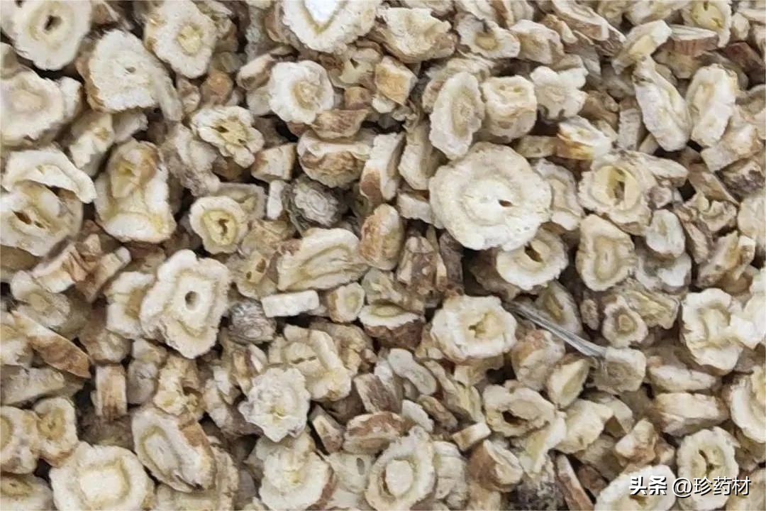 12月5日中药材市场快讯：白及、隔山撬、木香、白芍、北沙参等