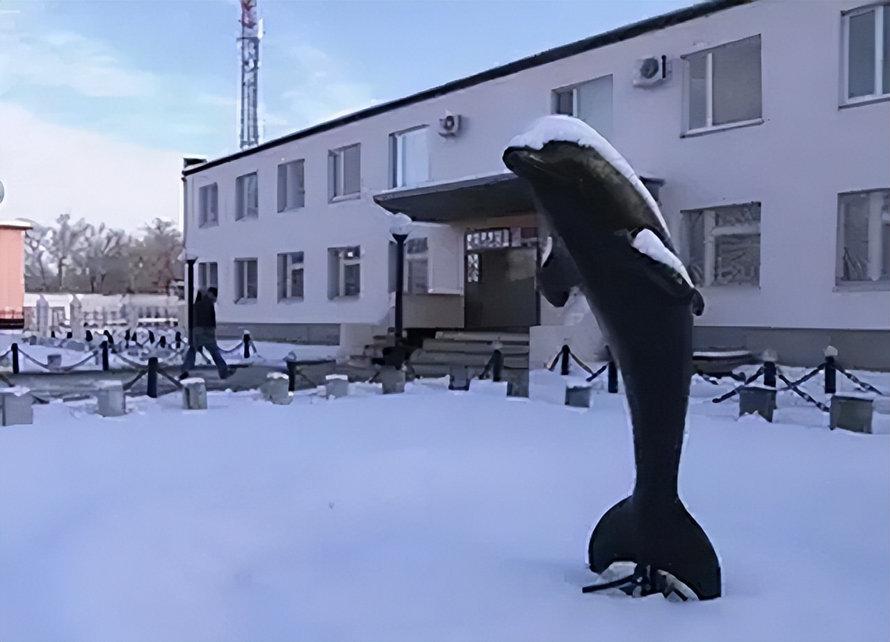 俄罗斯黑海豚监狱越狱,俄罗斯黑海豚监狱在哪里