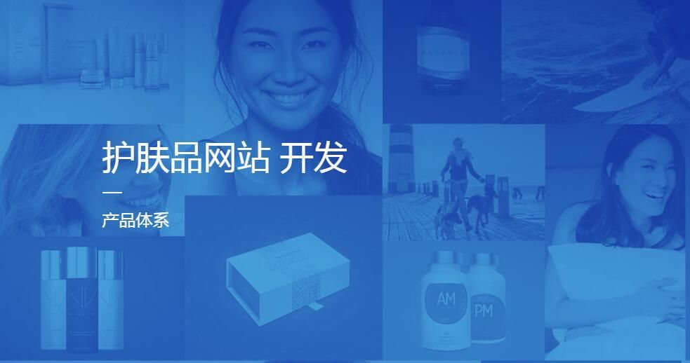 多语言网站策划,多语言网站开发