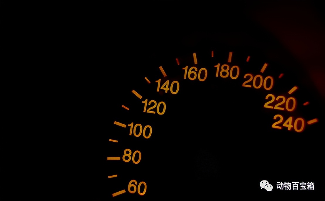 智能手机被替代智能电视的原因,智能电视取代传统电视