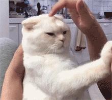 指甲抓头皮有白色的泥,头皮总能抠下来白泥