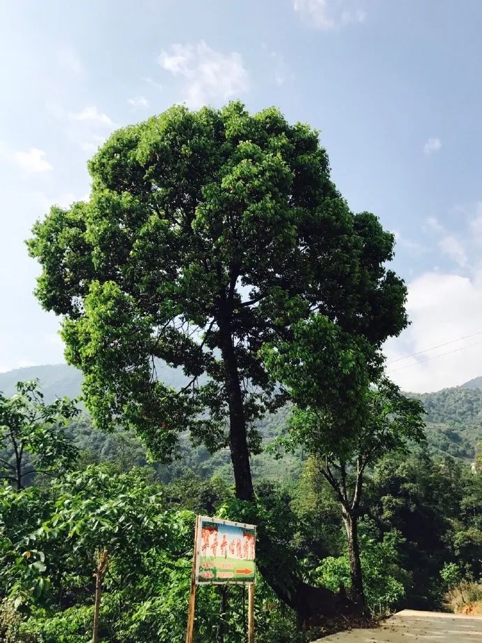 德昌有什么好耍的地方,德昌有啥好玩的地方推荐一下
