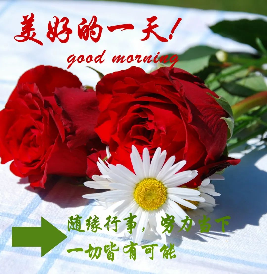 大家早上好带文字问候动态图片,最新早安问候健康平安动态图片