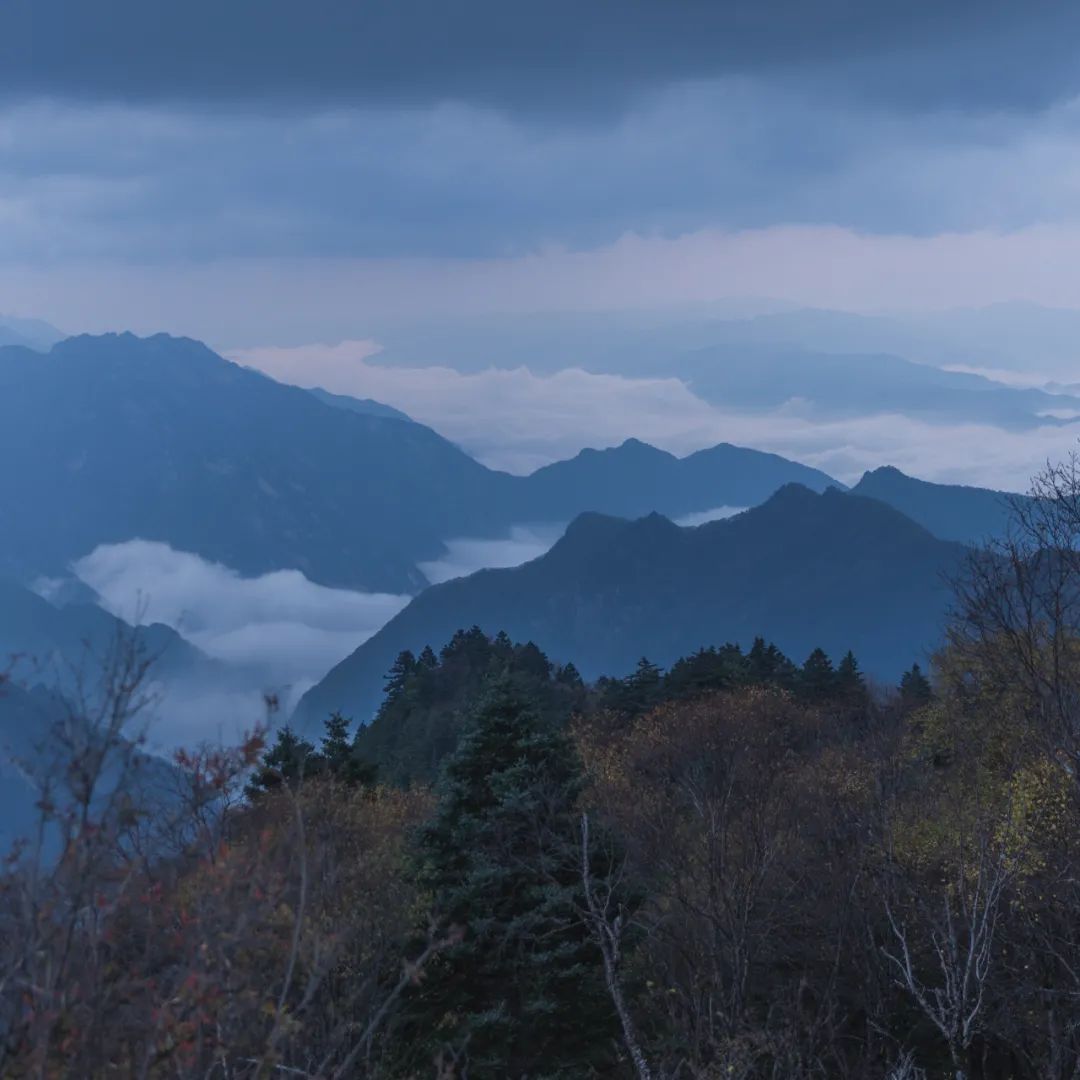 登太白山感受,太白山景区登顶拔仙台