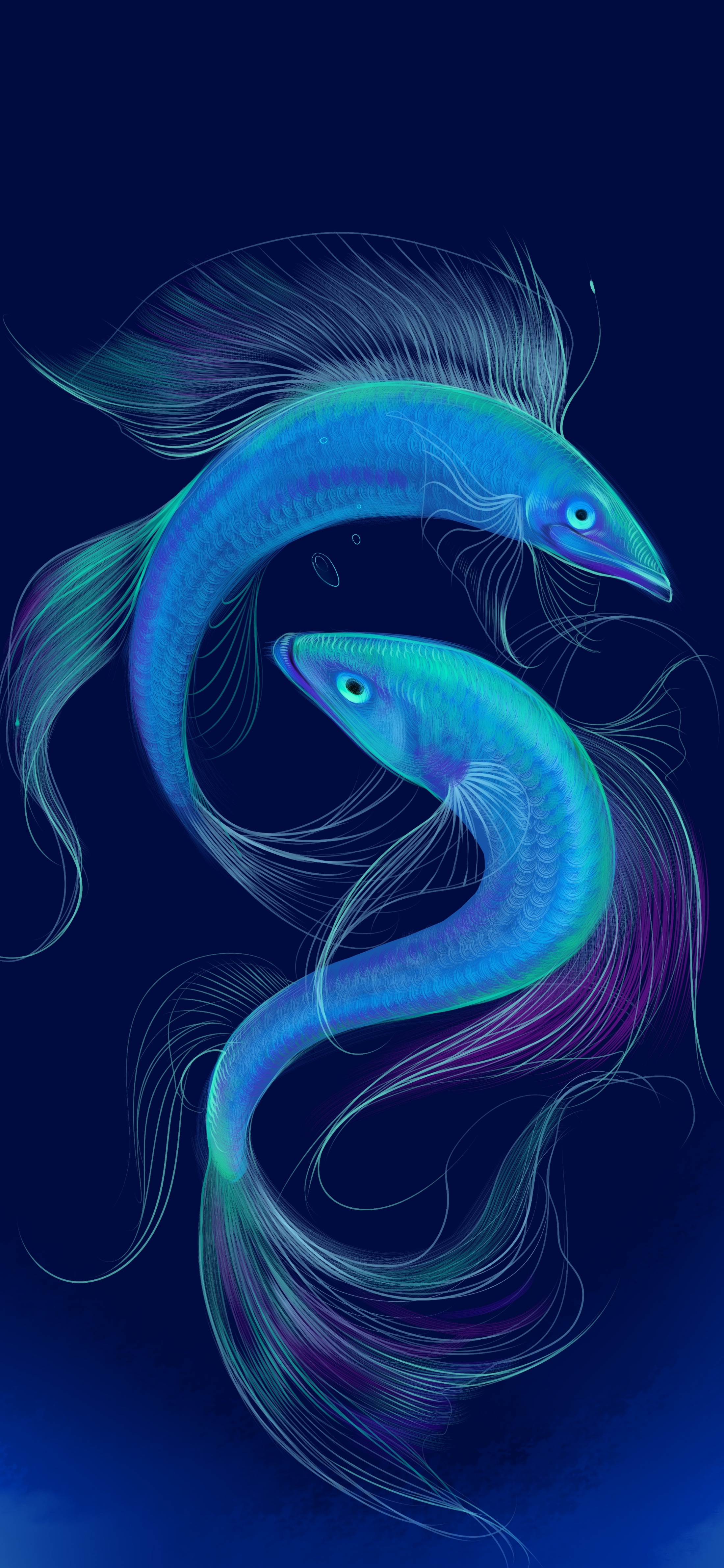 原图壁纸：鱼儿在海里游来游去，自由自在