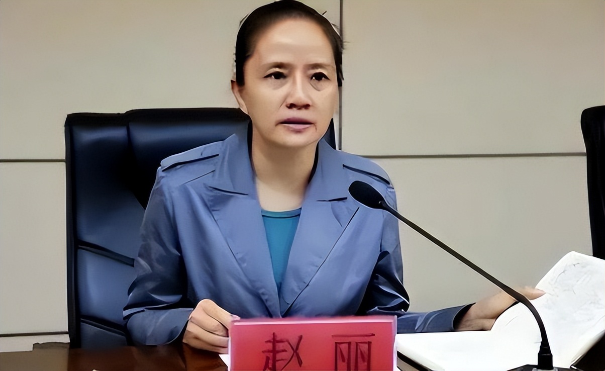 广西“最美书记”赵丽，敛财1344万，强迫司机6年，给460万封口费