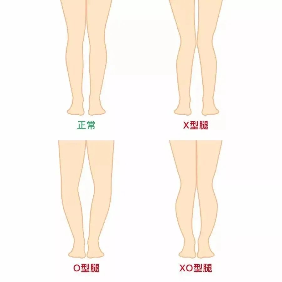 体测仪数据怎么看体脂率,体测表怎么看数据