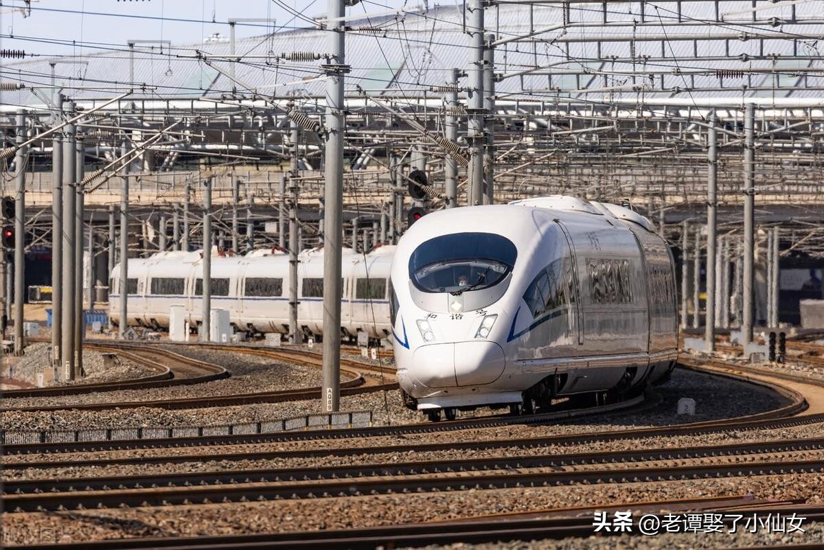 专科就业前景好还容易学的专业,专科报什么专业前景好且工资高