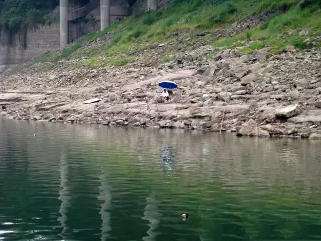 石扁头鱼的烹饪方法,石扁头鱼价格及图片