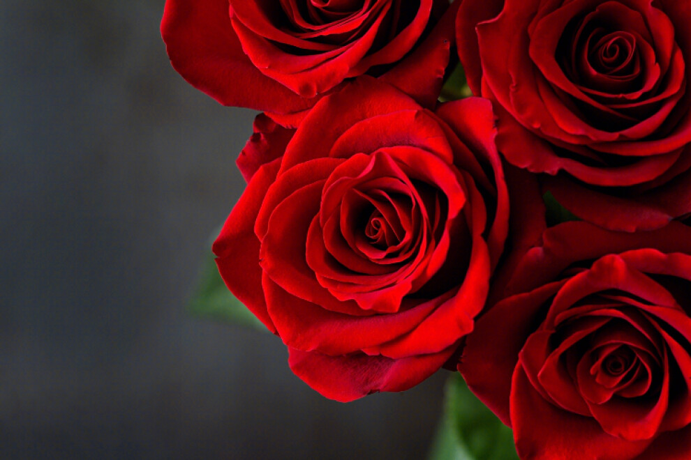 夏至给自己一个好的口红