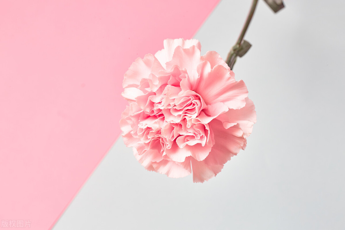 男人对女人有真爱有哪些表现,男人对女人的真爱表现在哪里