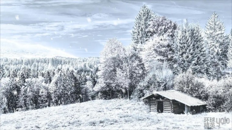 鐧芥樇鍙樼煭鎬濆康鍙橀暱,鎰跨啲杩囨墍鏈夌殑鑻﹁兘杩庢潵鏌虫殫鑺辨槑