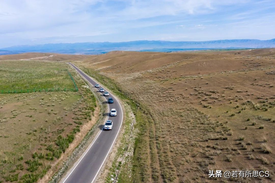 去新疆旅游的美女,去苏州旅游的女人