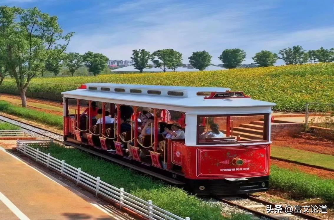 丰城花卉小镇杜鹃花海,丰城花卉小镇攻略