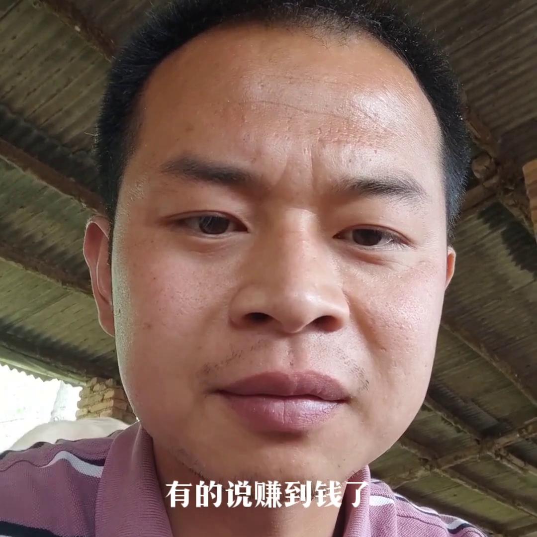 在山上养羊赚钱吗,养羊最赚钱的行业