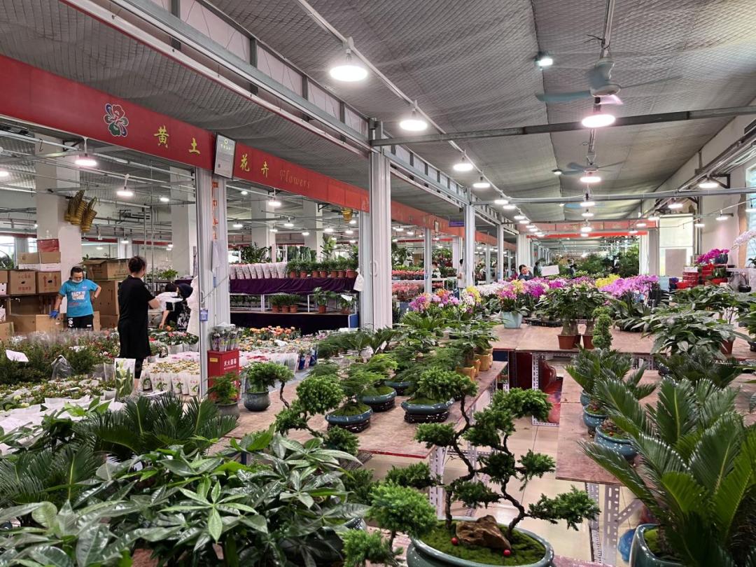 保姆级京圈花市攻略来袭，能解答你关于买花99%的问题