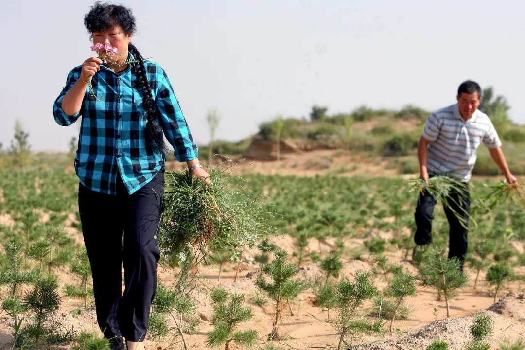 什么鬼城市,煤炭鬼城