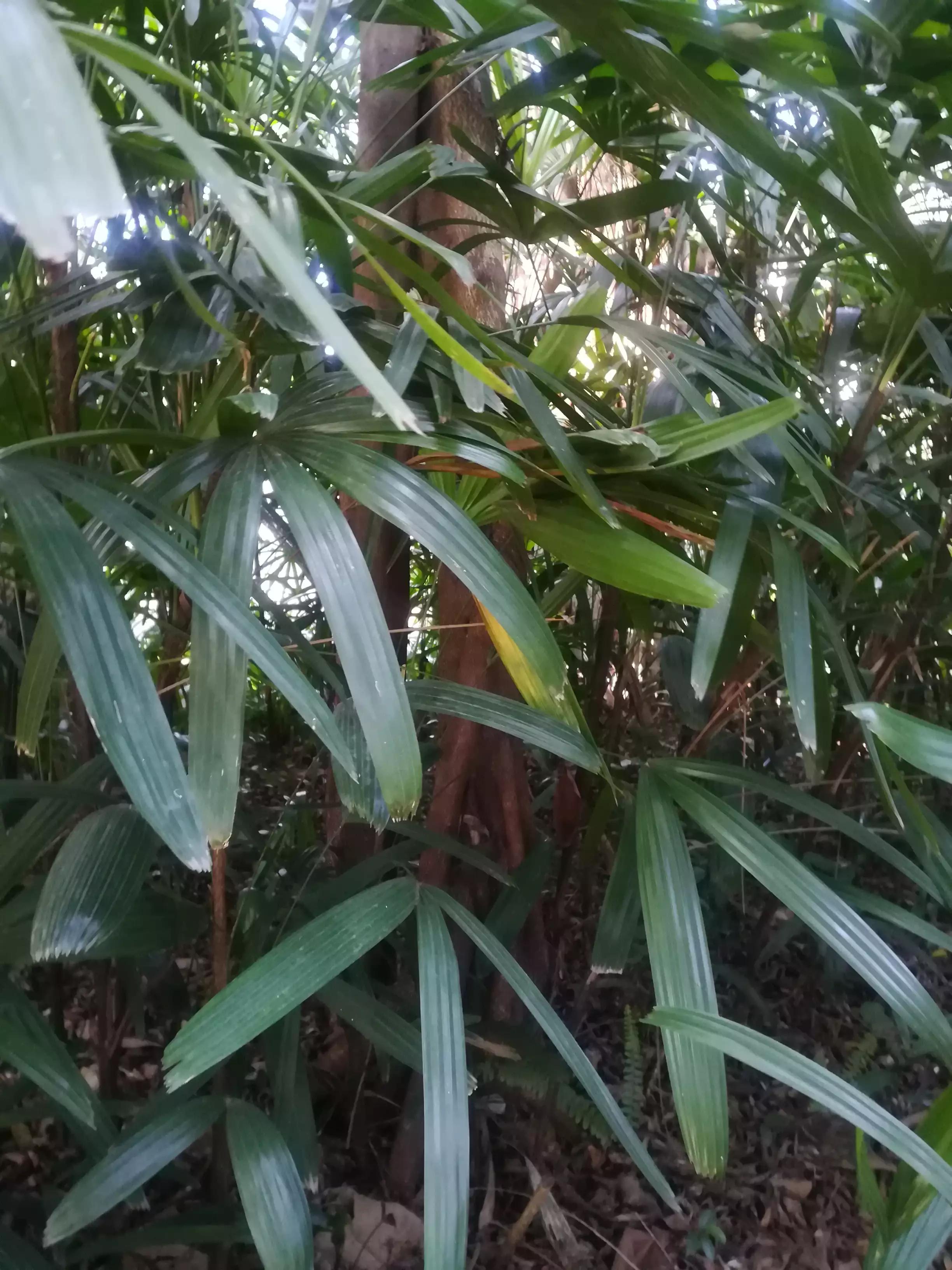 疫情期间母亲和二娃相处的视频,疫情期间的二胎妈妈