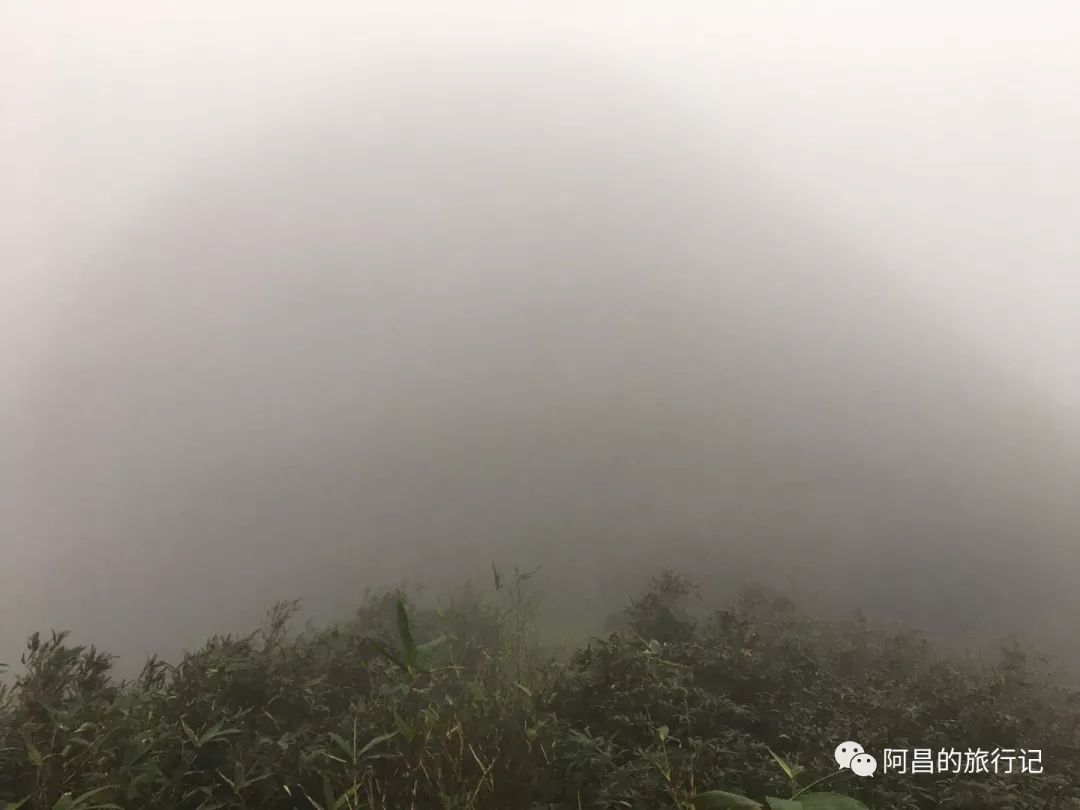 广西十万大山国家森林公园,广西十万大山国家森林公园图片