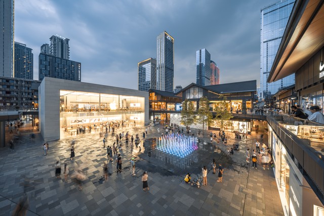 董小姐励志视频,董小姐励志人生