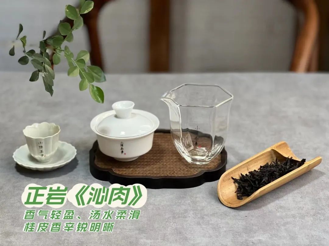 喝茶十多年了,岩茶最好喝的是哪一种