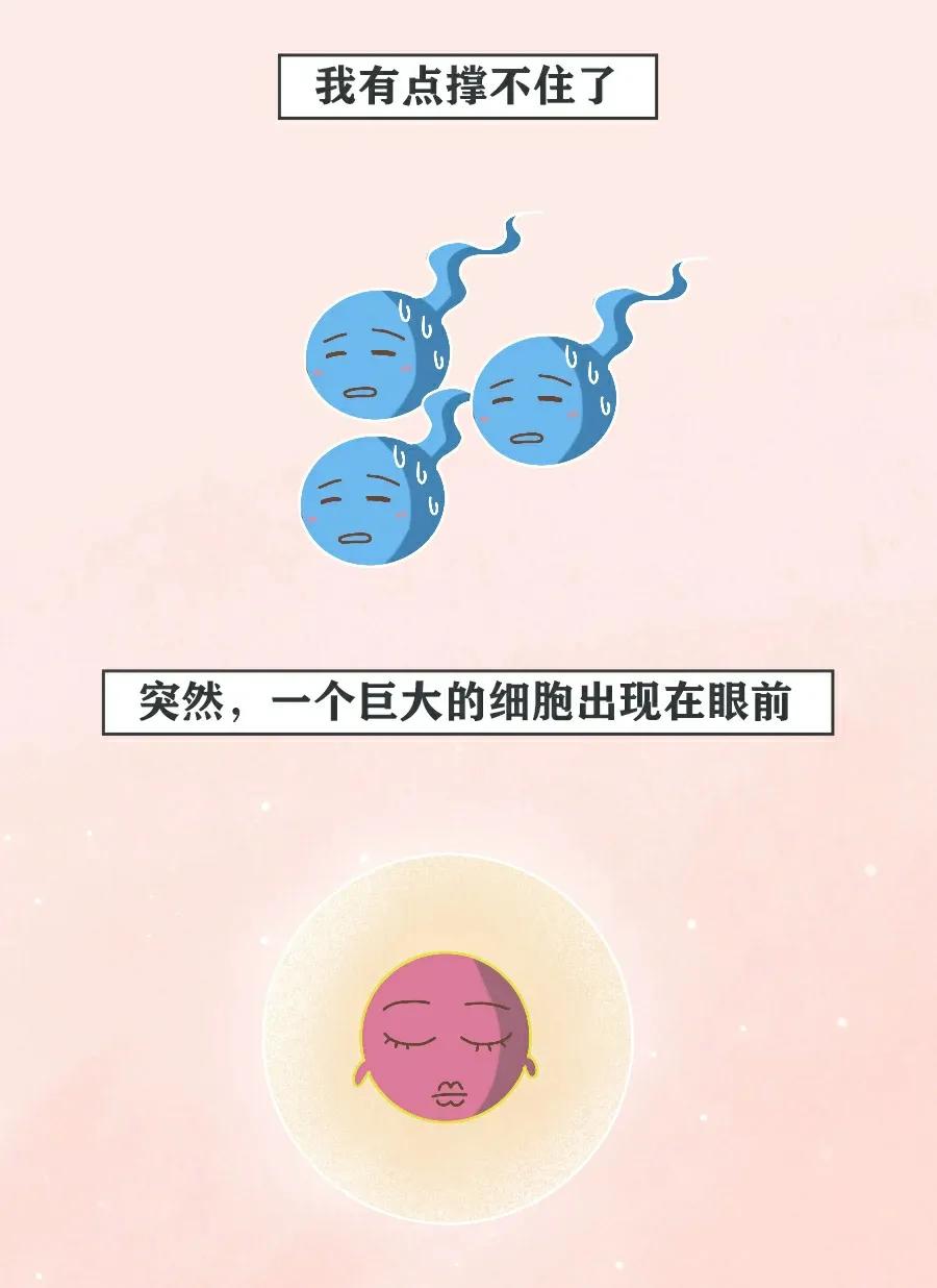 精子进入人体12小时变化,精子着床后身体变化