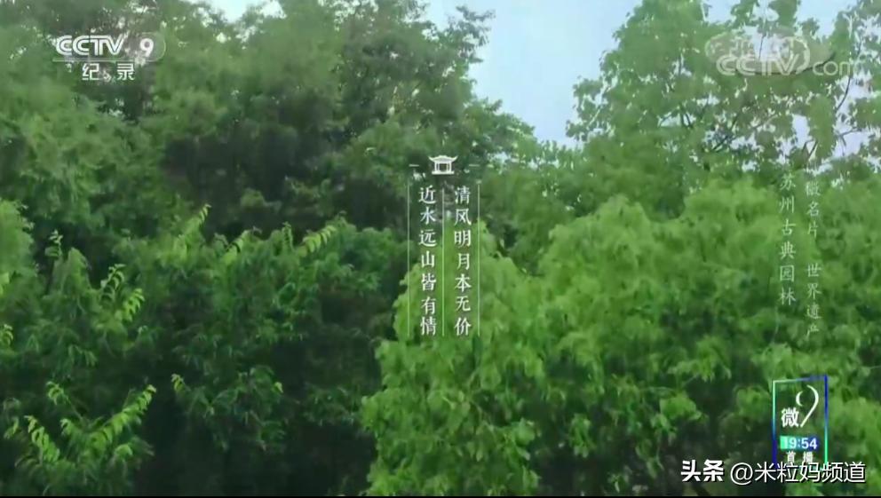 太养眼了！不能出门的日子，我给孩子找到了几个互联网“眼替”