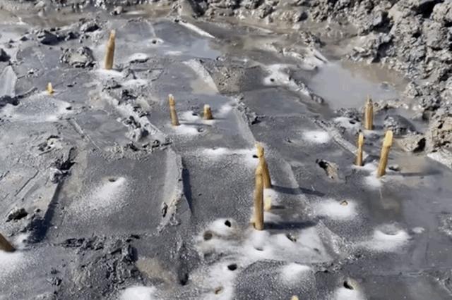 山东必吃海鲜盘点,山东十大特色海鲜