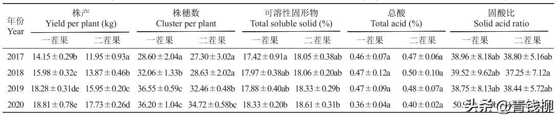 瑞都科美葡萄如何拍出奶香味,瑞都科美葡萄苗怎么购买