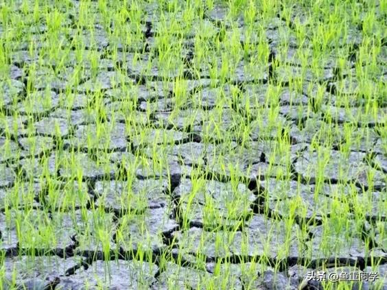 五月十一是什么日子,五月十一是吉祥日子吗