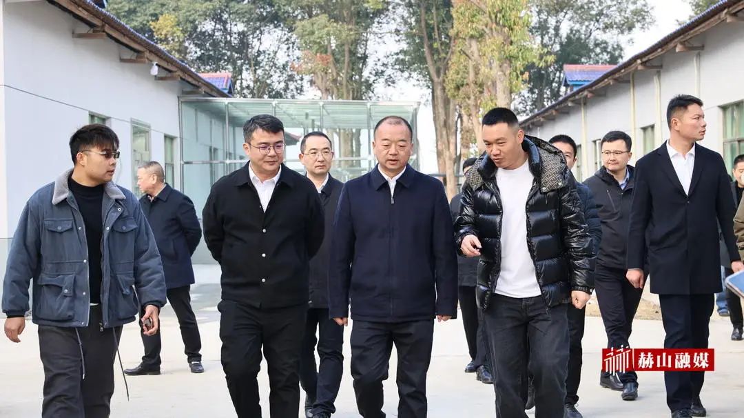 迎新春送温暖活动报道,迎新年送温暖活动