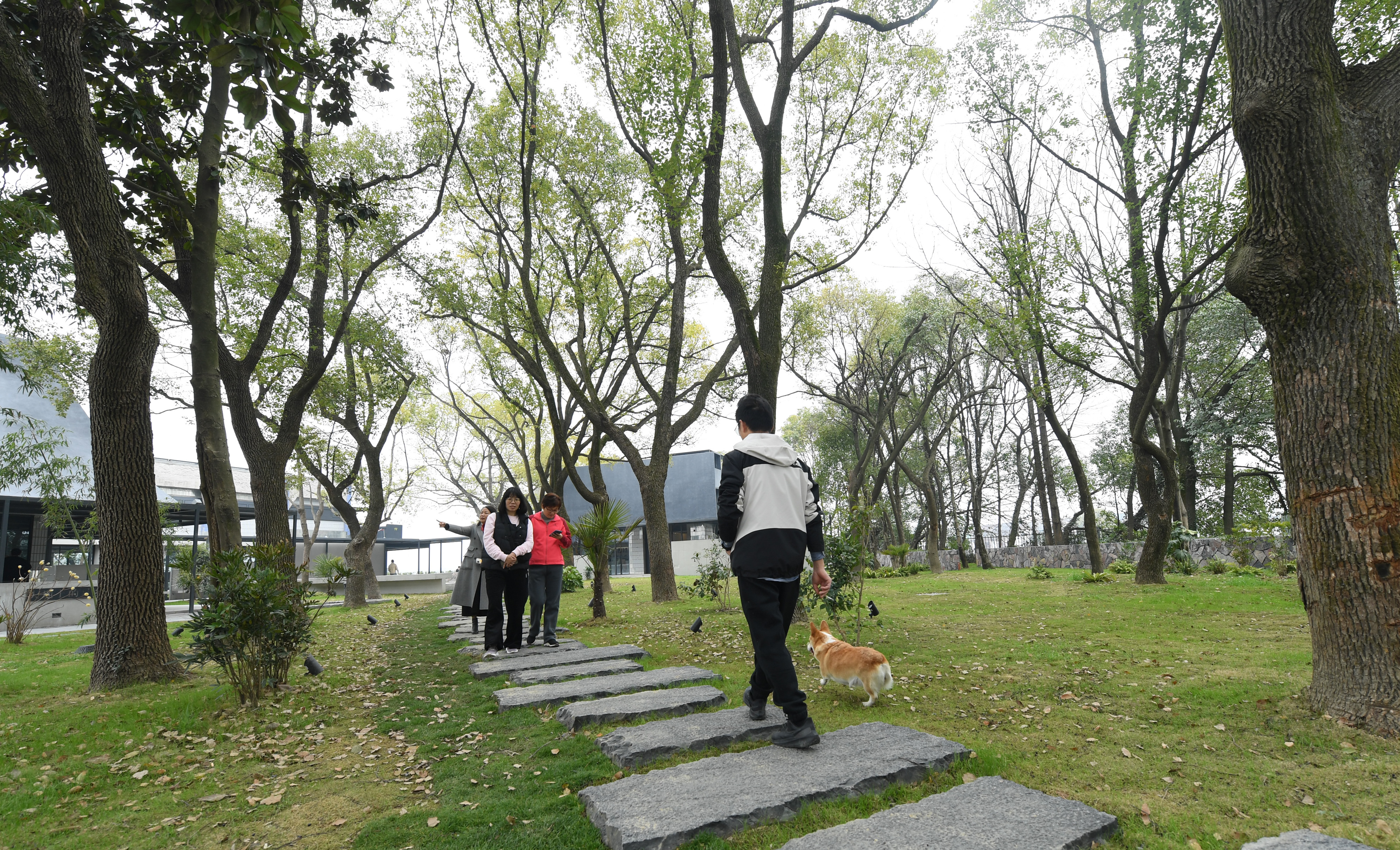 绍兴市越城区鉴湖新村改造,绍兴城乡蝶变图片