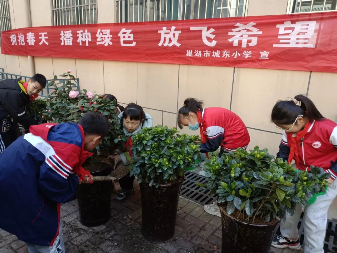 安徽省绿色学校入选名单庐江,合肥市绿色测评学校优秀率