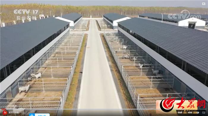 与新时代同行凝心聚力,与时代同行向幸福致敬海报