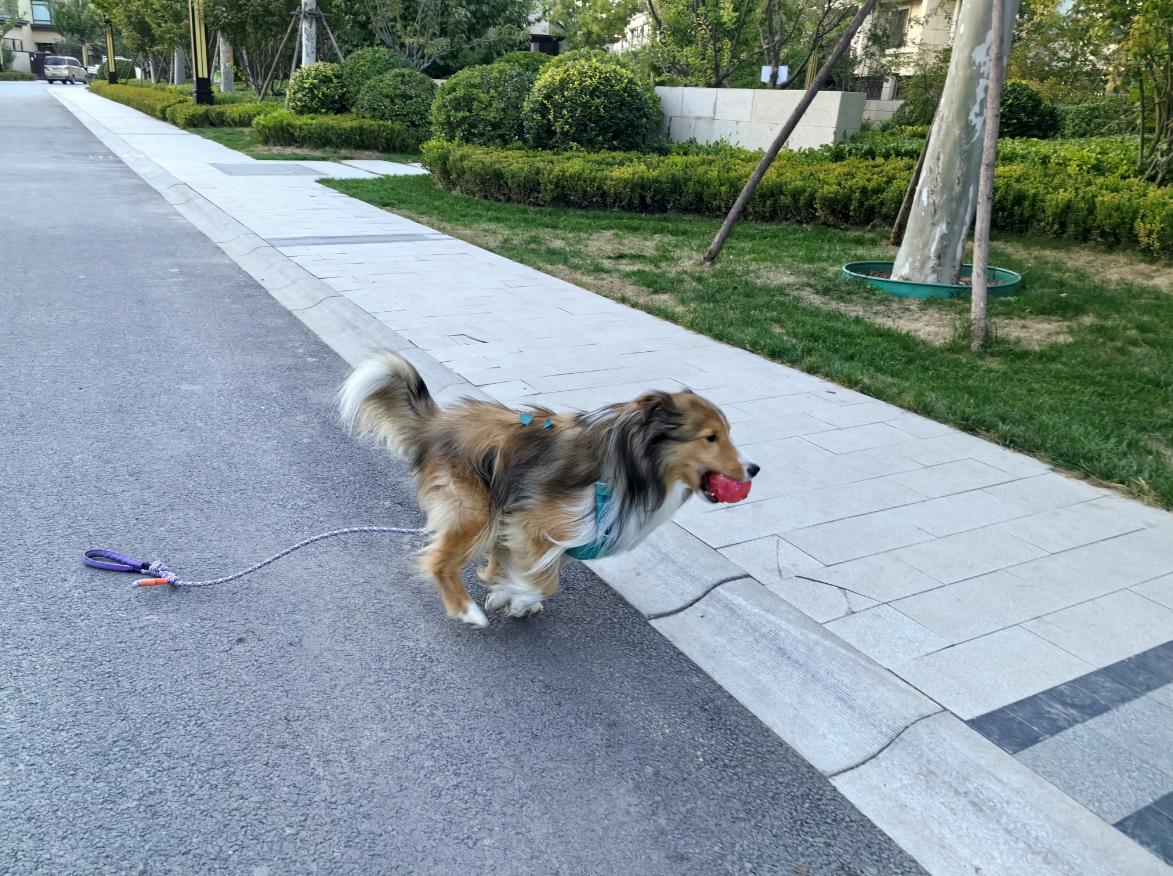 华为mate60影像排名,华为mate60pro影像测评