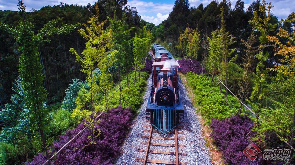 开屏广告的策划,开屏最新创意广告合集