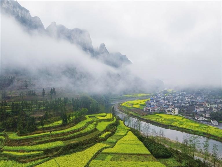 春来湘西，拈朵微笑的花