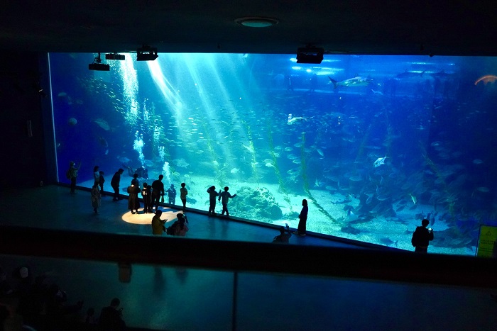 济州岛免签旅游攻略,免签入境韩国济州岛