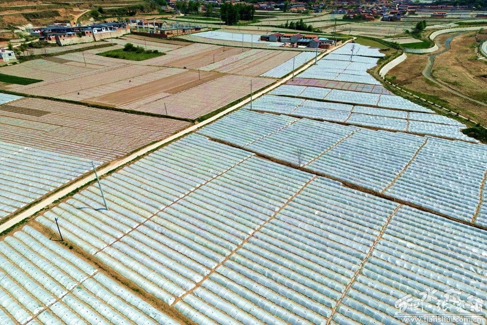 张家川恭门乡规划图,张家川恭门镇发展前景