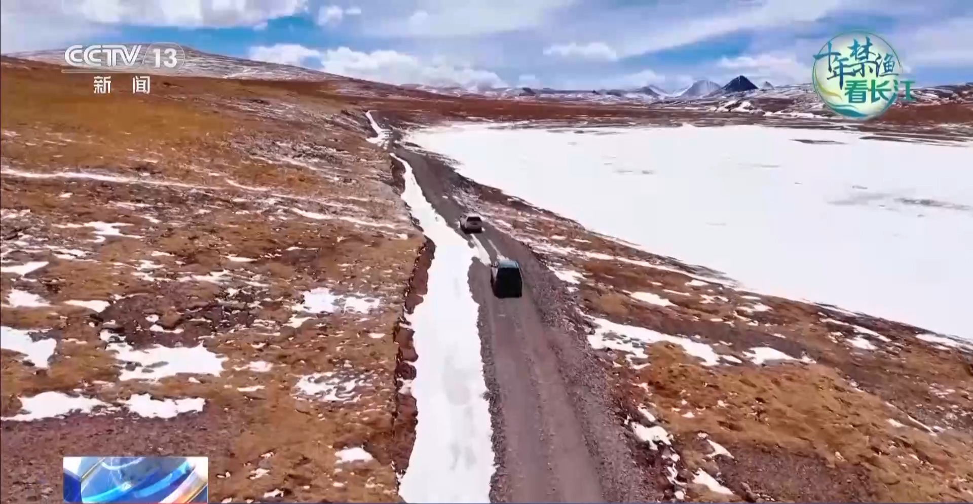 长江禁渔鱼类数据变化,长江禁渔三年多鱼儿们过得怎么样