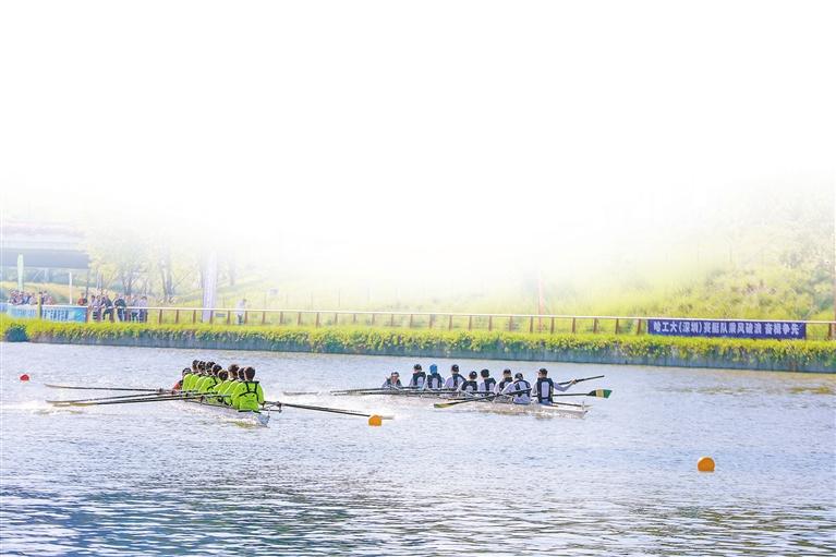 深圳市提高教育教学质量问卷,深圳市素质教育能力提升