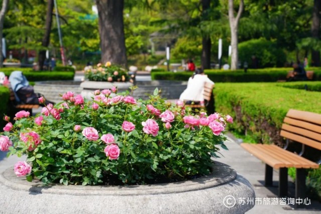 苏州值得逛的免费公园,苏州逛公园