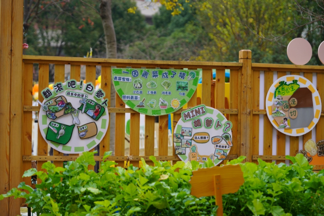 在小小的果园里面挖呀挖呀挖英文,在小小的菜园里挖呀挖呀挖