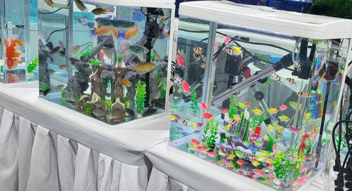 山东滨州水产养殖博览会,滨州水产博览会是第几届